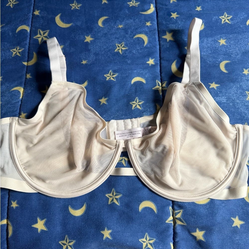 Sheer Unlined Bra
